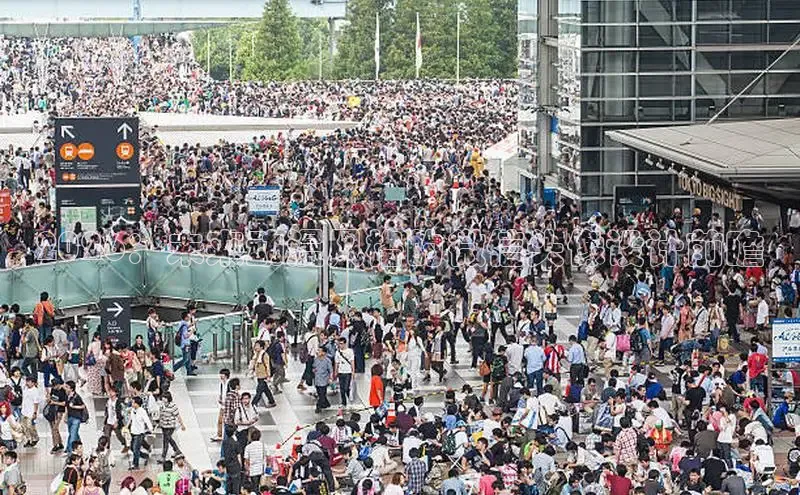 赏金国际链接